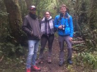 On the Rimu Walk
